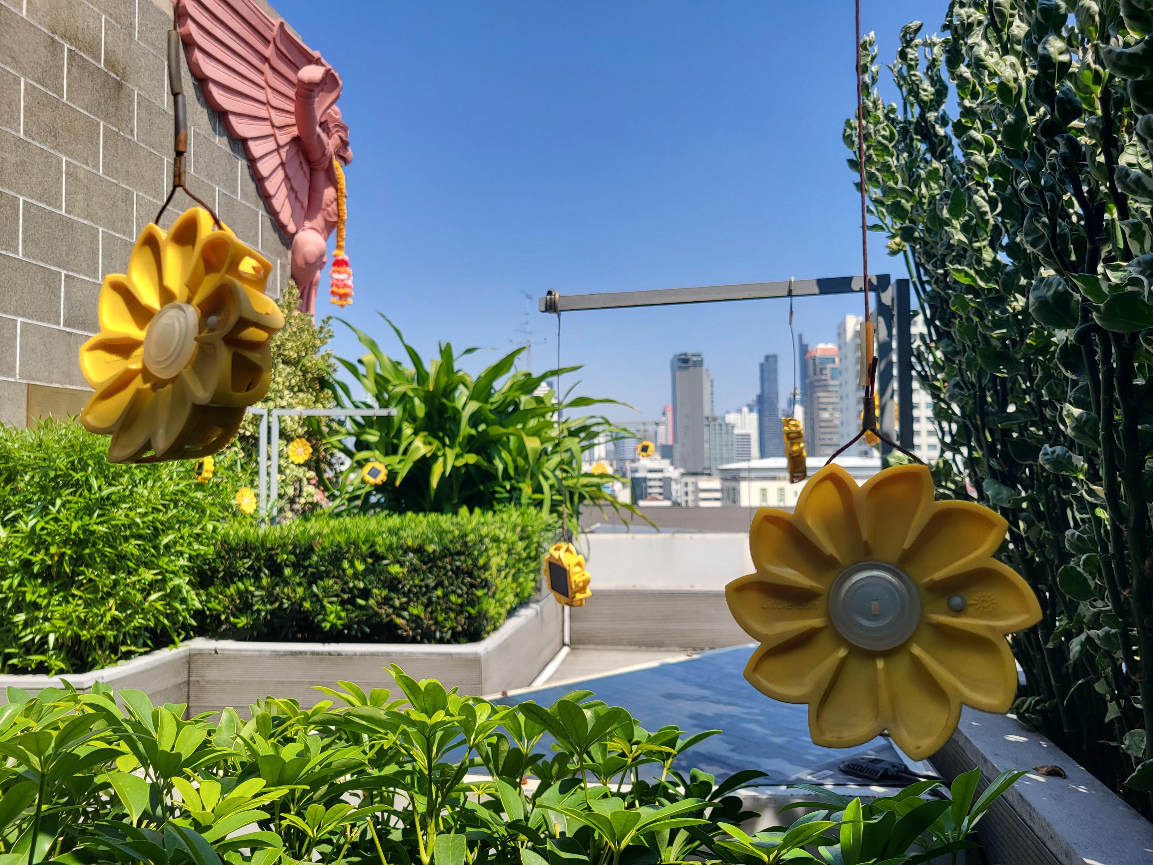 Off we go on a trip - Join Franzi on her year-long adventure around the world Gelbe Sonnenblumen-Dekoration auf einer begrünten urbanen Dachterrasse mit Stadtpanorama im Hintergrund