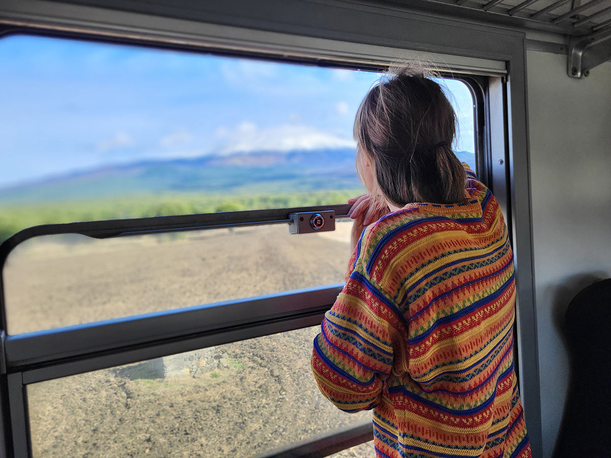 Mount Etna - Sicily's most spectacular natural wonder Eine Frau in einem bunten Pullover blickt aus einem Zugfenster auf eine weite Landschaft mit Bergen im Hintergrund