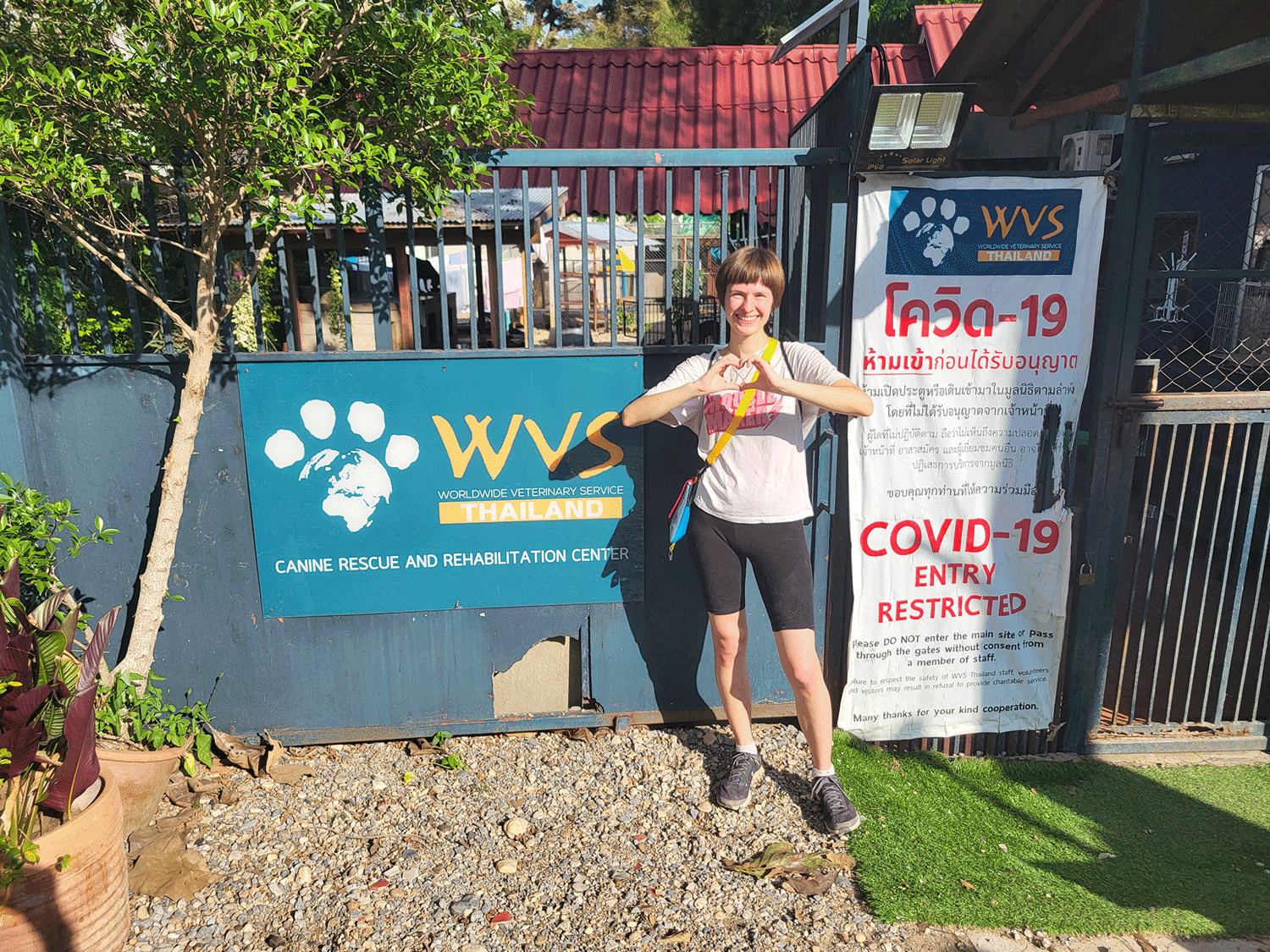 Tierisch gut: Worldwide Veterinary Service (WVS) Thailand als Geheimtipp für deine nachhaltige Bucket-List Eine Person zeigt ein Herzsymbol mit den Händen vor dem Eingang des WVS Canine Rescue und Rehabilitation Centers in Thailand, mit Covid-19-Beschilderung im Hintergrund