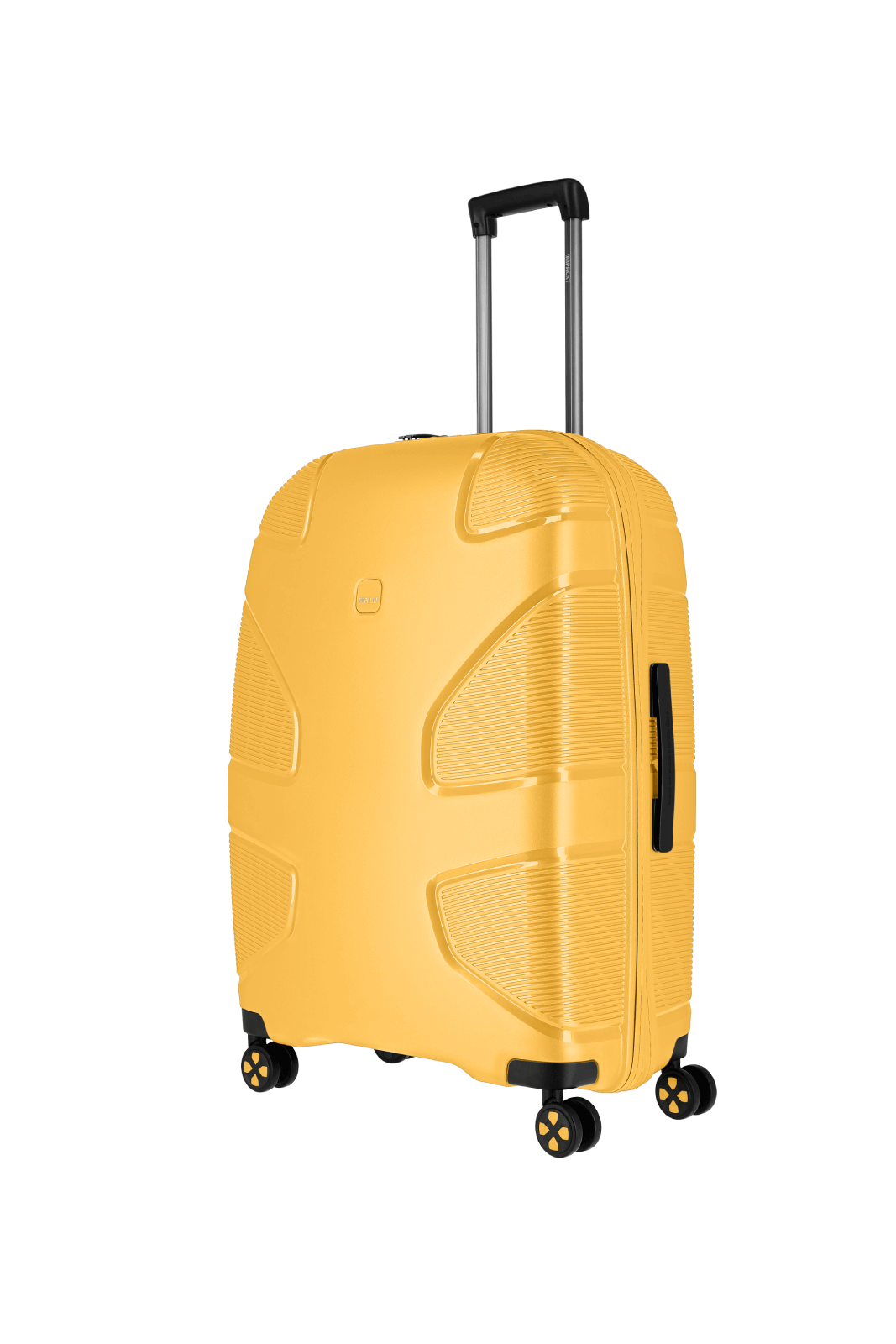 IP1 Suitcase  L