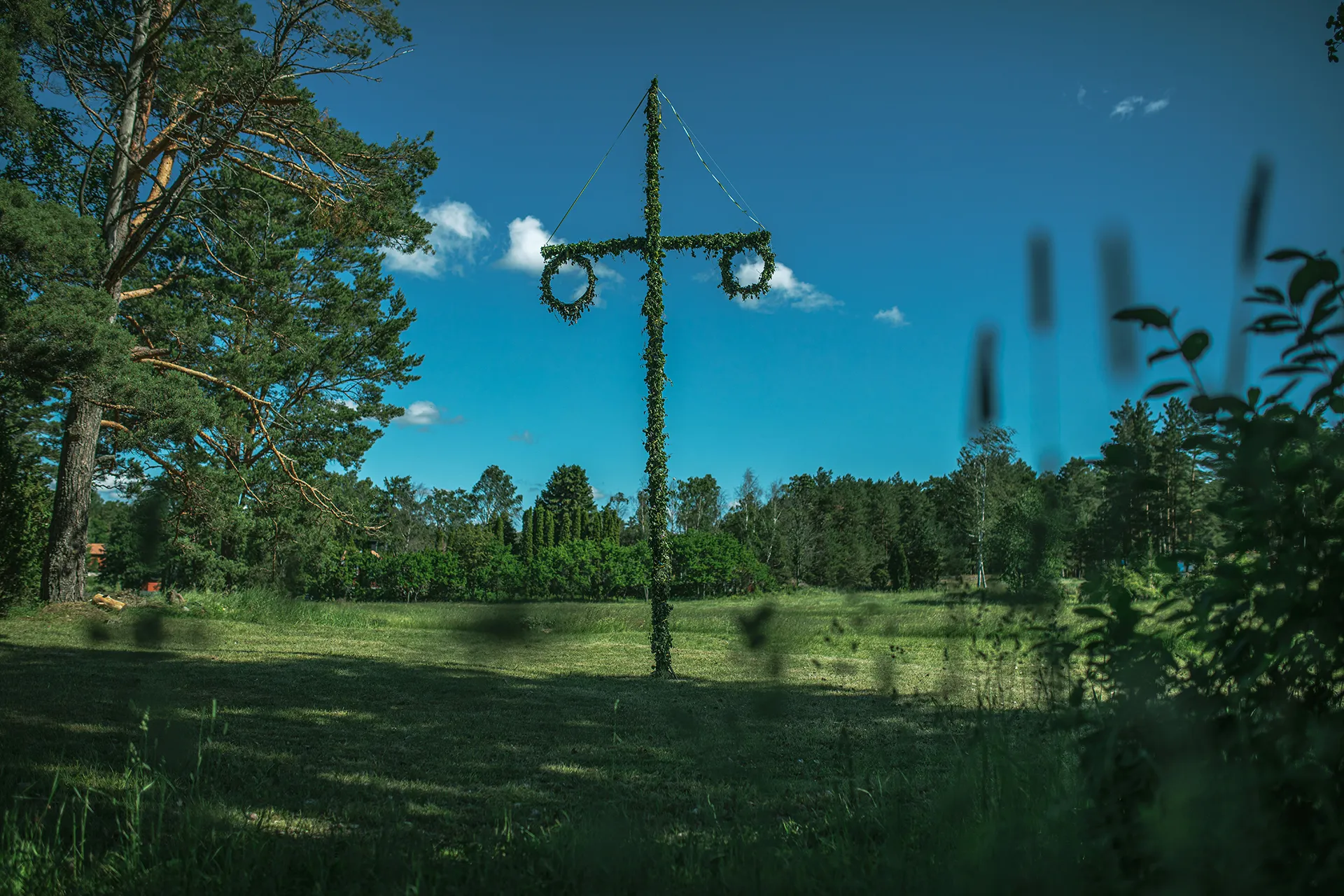 Warum Midsommar in Schweden auf deine Bucketlist gehört Ein mit Blättern geschmückter Maibaum mit zwei Kränzen steht auf einer sonnigen Wiese, umgeben von Bäumen und unter klarem, blauem Himmel